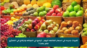 تغيرات جديدة في أسعار الفاكهة اليوم.. تراجع في الجوافة وارتفاع في الكمثرى فكم بلغت؟